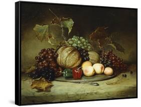 Bountiful Still Life-Hugh Newell-Framed Stretched Canvas