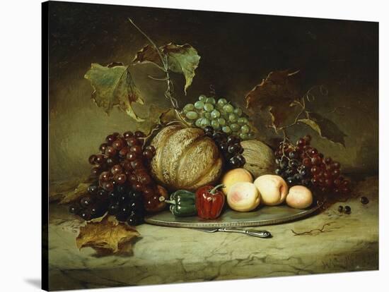 Bountiful Still Life-Hugh Newell-Stretched Canvas