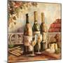 Bountiful Wine Sq I-Gregory Gorham-Mounted Art Print