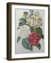 Bouqet of Camellias, Narcisses and Pansies-Pierre-Joseph Redoute-Framed Art Print