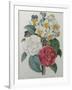 Bouqet of Camellias, Narcisses and Pansies-Pierre-Joseph Redoute-Framed Art Print