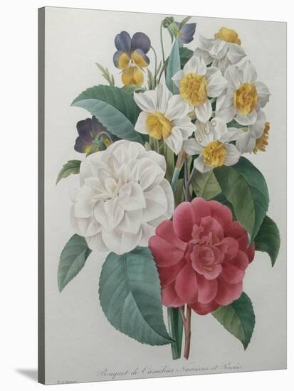 Bouqet of Camellias, Narcisses and Pansies-Pierre-Joseph Redoute-Stretched Canvas