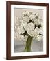 Bouquet Blanc II-Leonardo Sanna-Framed Art Print