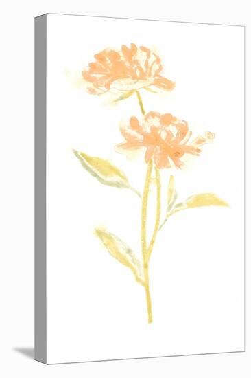 Bouquet Blush VII-June Vess-Stretched Canvas