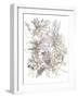 Bouquet Burst I - Neutral-Katrien Soeffers-Framed Giclee Print