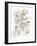 Bouquet Burst II - Neutral-Katrien Soeffers-Framed Giclee Print