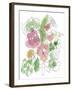 Bouquet Burst II-Katrien Soeffers-Framed Giclee Print