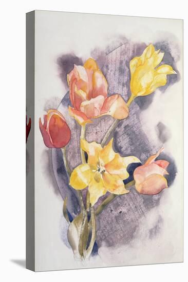 Bouquet, C.1923-Charles Demuth-Stretched Canvas