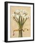 Bouquet candido-Lisa Corradini-Framed Art Print