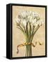 Bouquet candido-Lisa Corradini-Framed Stretched Canvas