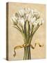 Bouquet candido-Lisa Corradini-Stretched Canvas
