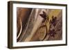 Bouquet d'or I-Anne Brochard-Framed Art Print