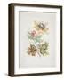 Bouquet De Fantaisie, from Nouvelle Suitte De Cahiers De Fleurs Ideales, Late 18th Century-Jean Baptiste Pillement-Framed Giclee Print