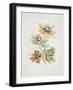 Bouquet De Fantaisie, from Nouvelle Suitte De Cahiers De Fleurs Ideales, Late 18th Century-Jean Baptiste Pillement-Framed Giclee Print