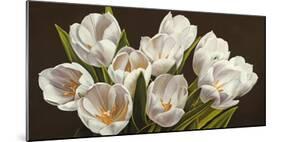 Bouquet di tulipani-Serena Biffi-Mounted Art Print