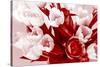 Bouquet from Several Tulips of Monochrome Red Color-malven-Stretched Canvas