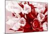 Bouquet from Several Tulips of Monochrome Red Color-malven-Mounted Photographic Print