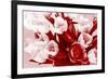 Bouquet from Several Tulips of Monochrome Red Color-malven-Framed Photographic Print