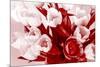 Bouquet from Several Tulips of Monochrome Red Color-malven-Mounted Photographic Print