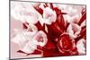 Bouquet from Several Tulips of Monochrome Red Color-malven-Mounted Photographic Print