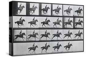 Bouquet, Galloping, Eadward Muybridge-Eadweard Muybridge-Stretched Canvas