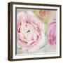 Bouquet I-Shana Rae-Framed Giclee Print