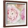 Bouquet I-Shana Rae-Framed Giclee Print