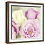 Bouquet II-Shana Rae-Framed Giclee Print