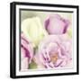 Bouquet II-Shana Rae-Framed Giclee Print