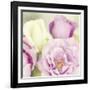 Bouquet II-Shana Rae-Framed Giclee Print