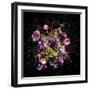 Bouquet IV, 2017 (photo)-Teis Albers-Framed Giclee Print