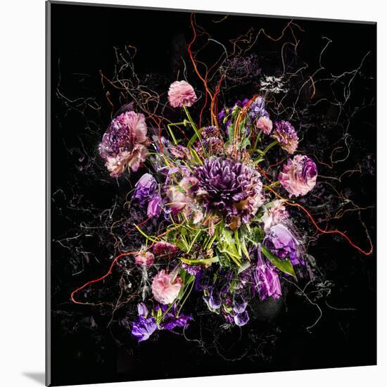 Bouquet IV, 2017 (photo)-Teis Albers-Mounted Giclee Print