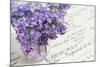 Bouquet, Lilac, Flowers, Purple, Violet, Vase, Spring-Andrea Haase-Mounted Photographic Print