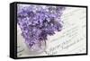 Bouquet, Lilac, Flowers, Purple, Violet, Vase, Spring-Andrea Haase-Framed Stretched Canvas