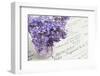 Bouquet, Lilac, Flowers, Purple, Violet, Vase, Spring-Andrea Haase-Framed Photographic Print