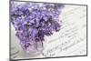 Bouquet, Lilac, Flowers, Purple, Violet, Vase, Spring-Andrea Haase-Mounted Photographic Print