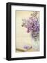 Bouquet of a Lilac-Es75-Framed Photographic Print