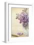 Bouquet of a Lilac-Es75-Framed Photographic Print