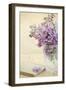 Bouquet of a Lilac-Es75-Framed Photographic Print