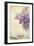 Bouquet of a Lilac-Es75-Framed Photographic Print