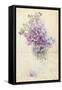 Bouquet of a Lilac-Es75-Framed Stretched Canvas