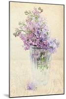 Bouquet of a Lilac-Es75-Mounted Art Print