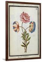 Bouquet of Anemones, C.1700-null-Framed Giclee Print