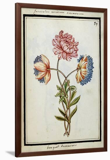 Bouquet of Anemones, C.1700-null-Framed Giclee Print