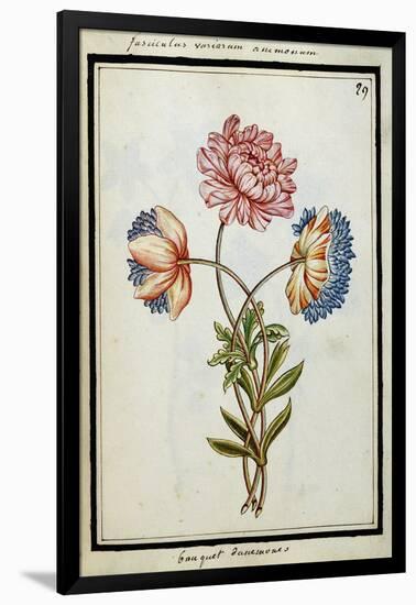 Bouquet of Anemones, C.1700-null-Framed Giclee Print