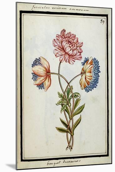 Bouquet of Anemones, C.1700-null-Mounted Giclee Print