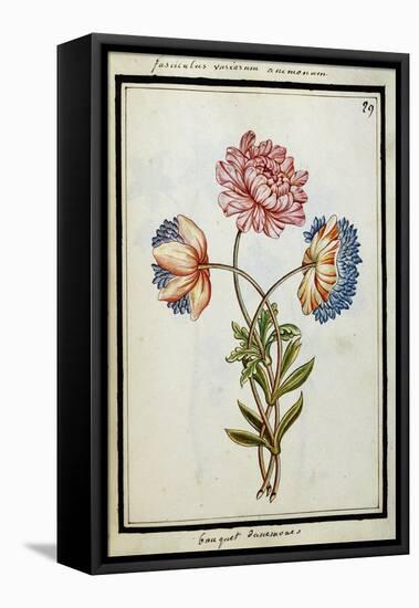 Bouquet of Anemones, C.1700-null-Framed Stretched Canvas