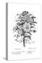 Bouquet of Assorted Flowers-null-Stretched Canvas