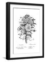 Bouquet of Assorted Flowers-null-Framed Giclee Print