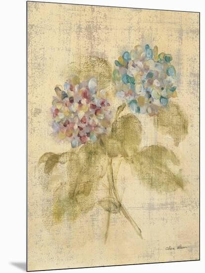 Bouquet of Blue Hydrangea-Cheri Blum-Mounted Art Print